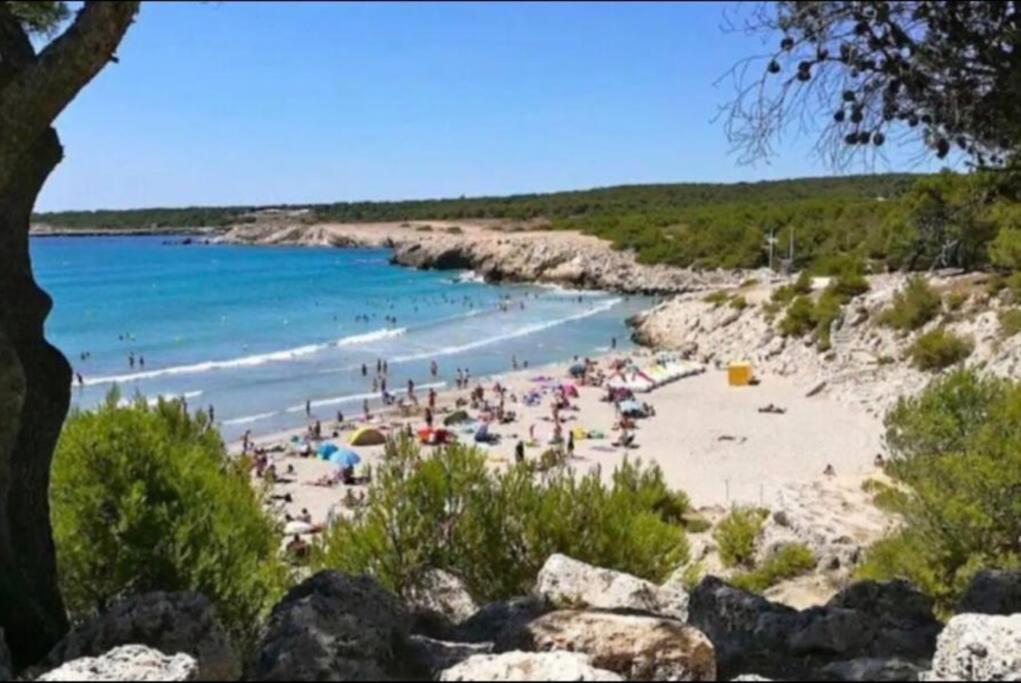 Studio Mer Et Vacances Sausset-les-Pins Extérieur photo